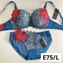 サルート リボンの騎士 D75/L GY 86 P-upブラ ソング タンガ - メルカリ