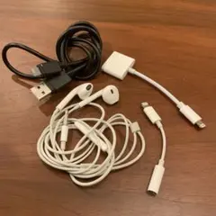 【純正】 Apple EarPods ＆ web会議セット