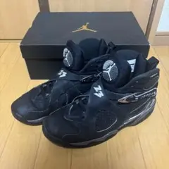 【早い者勝ち！】Nike Air Jordan 8 Retro 27cm