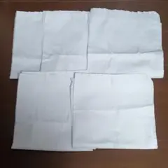 Item thumbnail for item 8e98da63-7b97-4bf7-a554-30c326d0693e