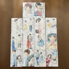 あなたがしてくれなくても 1-12巻セット+私がひとりで生きてくなんて1、2巻