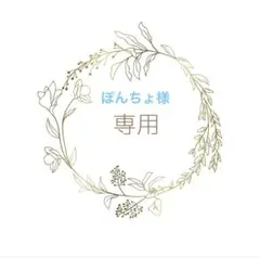 フード3個