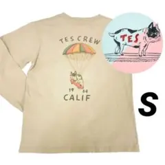 The Endless Summer ロンTのサムネイル