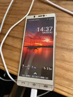 シンプルスマホ5 A001H シャンパンゴールド
