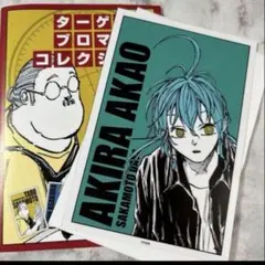 サカモトデイズ SAKAMOTODAYS ターゲットブロマイド 赤尾晶