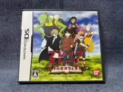 DS☆ブレイブストーリー ボクのキオクとネガイ☆中古品