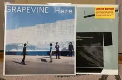 2026年最新】grapevine lpの人気アイテム - メルカリ