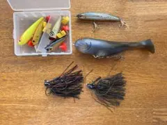 Item thumbnail for item 7c997209-a161-4600-bf50-2d6340fbb717