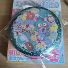 ハンギョドン BIG缶バッジ 直径75mm