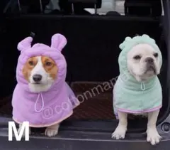 Item thumbnail for item ef12a19e-7bbd-40d0-a35e-0d70ebdb487b