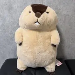 AMUSE マーモット もっとっと 超超ウルトラBIG ぬいぐるみのサムネイル