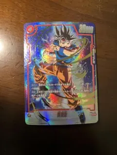 胡麻様 リクエスト 2点 まとめ商品