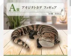 A賞 アオジタトカゲ フィギュア 一番くじ 爬虫類＆両生類
