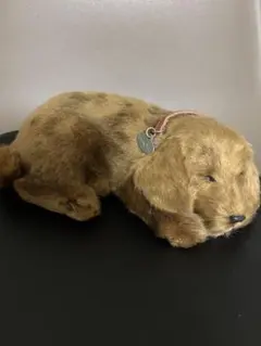 2026年最新】perfect petzzzの人気アイテム - メルカリ