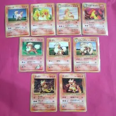 ポニータ ギャロップ わるいギャロップ カツラのガーディウィンディ ブーバー