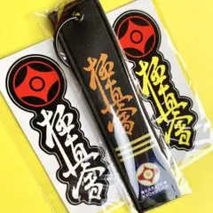 Item thumbnail for item e4a56943-a94c-4ce6-804e-95ae915bb47d