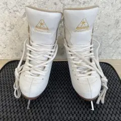 Item thumbnail for item 6b563909-8f6a-4f73-824f-c1b4250474a2