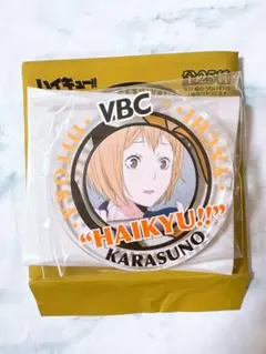 ハイキューアクリルバッジコレクション 谷地仁花