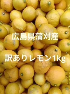 訳あり！！ 広島県蒲刈産 レモン1kg - メルカリ