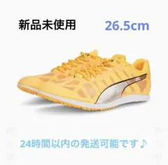 Item thumbnail for item 8060b076-93f5-48ac-8e1d-d7a1b7520eec