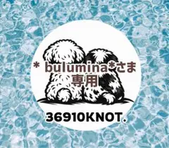 * bulumina*さま専用