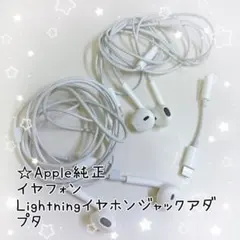 Apple純正　Lightningイヤフォンとアダプタ