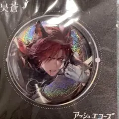 2026年最新】アッシュエコーズの人気アイテム - メルカリ