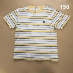 familiar ストライプ Tシャツ 150