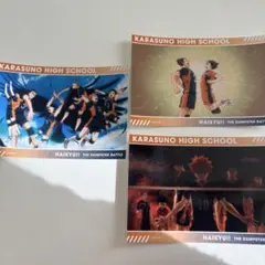 ハイキュー ゴミ捨て場の決戦展 スナップカード 烏野高校