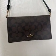 Item thumbnail for item 5bddf066-9d2e-4826-a77f-73dde0e71c68