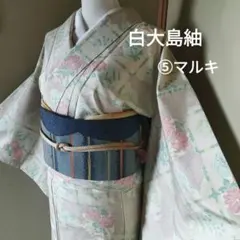 2025年最新】正絹白大島紬の人気アイテム - メルカリ