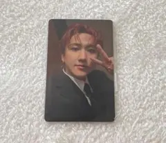 Straykids KARMA FANS ラキドロ チャンビン