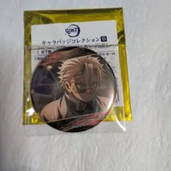 鬼滅の刃　キャラバッジ コレクションB　不死川実弥