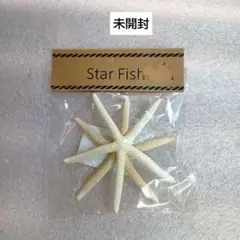 ②インテリア・ヒトデ・スターフィッシュ2個入　未開封