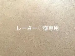 しーさー♡様専用・*:.ღパラコードスマホハンドストラップ