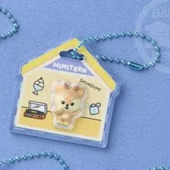 SEVENTEEN MINITEEN パッケージ&グミ ジョシュアのサムネイル
