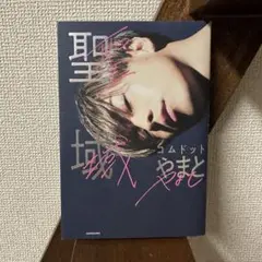 Item thumbnail for item 2c5208d7-50eb-4e57-b720-ddfc3373a4e4