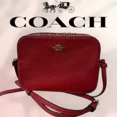 美品❤️COACH❤️コーチ レザーショルダーバッグ カメラバッグ C2111
