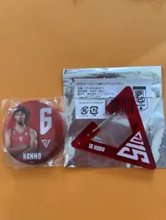 千葉ジェッツ　菅野ブルース缶バッジとDJホグ15thシークレットカラビナ