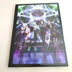 APOZ 数量限定生産 特典 A4ポートレート ŹOOĻ