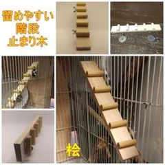 Item thumbnail for item c539ef12-7b26-4730-853c-45175f781264