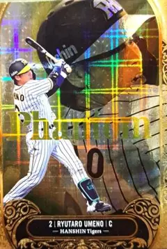 阪神タイガース　梅野隆太郎　25シリアル　BBM