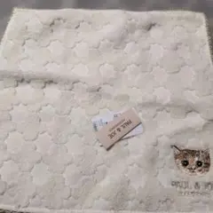 PAUL & JOE 猫刺繍タオルハンカチ