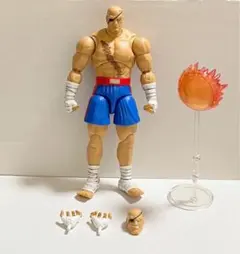 ストリートファイター SOTAアクションフィギュア 四天王　4体セット ストリートファイター SOTAアクションフィギュア 四天王 4体セット