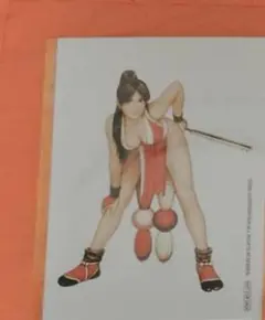 ちびころです様 リクエスト 2点 まとめ商品