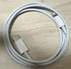 Apple純正USB-C-Lightningケーブル USB-Lightning