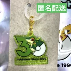 ポケモン　30周年ロゴマスコット2　ツタージャ