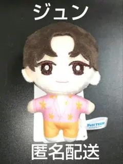 SEVENTEEN　PetiTEEN　マスコット　ジュン　SECTOR 17