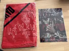 【新品未開封】アルバルク東京応援タオル/ファイル