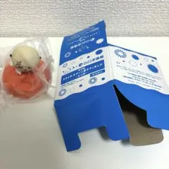 치이카와 CoCo 이치 반야 코코이치 스푼 두어 해달